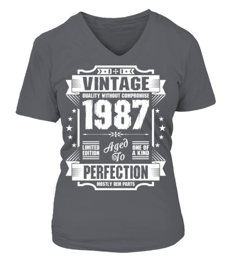 Vintage 1987 Perfection Women's V-Neck T-shirt