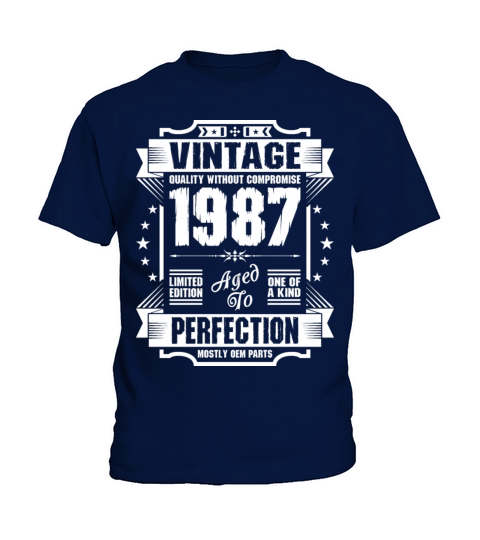 Vintage 1987 Perfection Kids T-Shirt