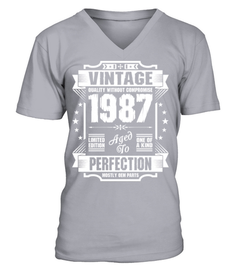 Vintage 1987 Perfection Men's V-Neck T-shirt