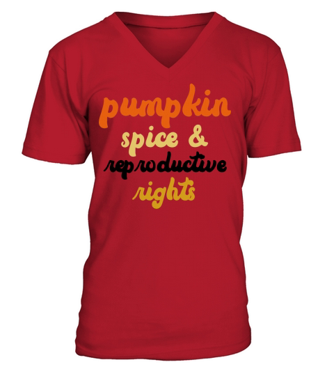 Pumpkin Spice and Reproductive Rights Pro Choice Men's V-Neck T-shirt