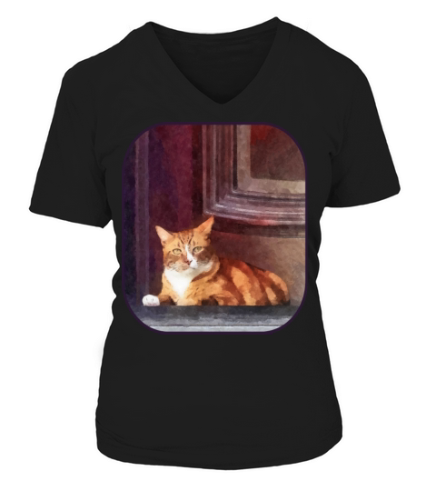 Cats - Orange Tabby in Doorway Women's V-Neck T-shirt