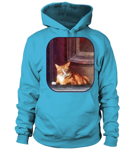 Cats - Orange Tabby in Doorway Women's Hoodie
