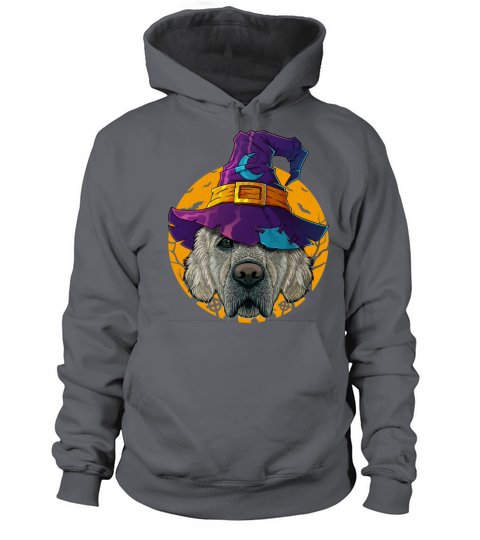 Golden Retriever Witch Funny Halloween Costume Cre Men's Hoodie