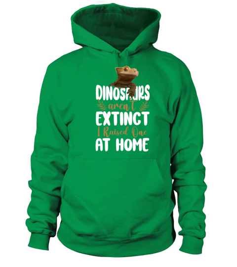 Crested Gecko Dinosaurs ArenT Women's Hoodie