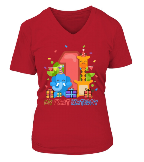 Birthday Baby - 1st Birthday Women's V-Neck T-shirt