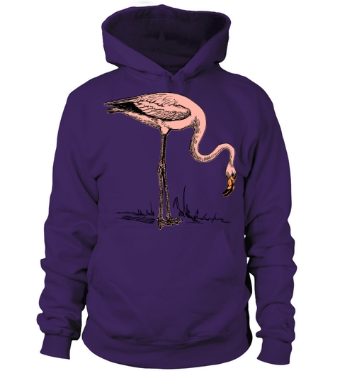 Vintage Flamingo Women's Hoodie