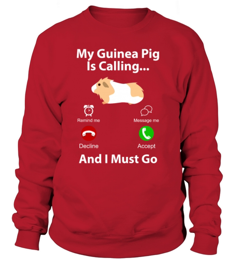 guinea pig Women's Sweatshirt