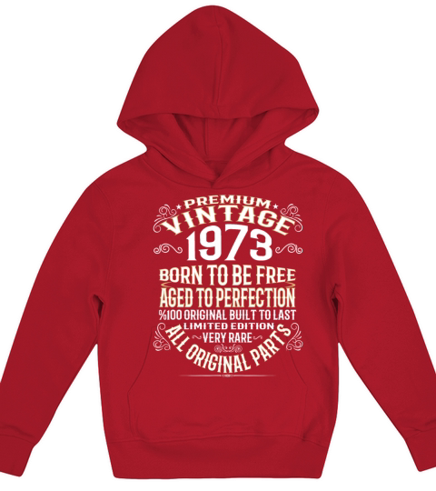 PREMIUM VINTAGE 1973 Kids Hoodie