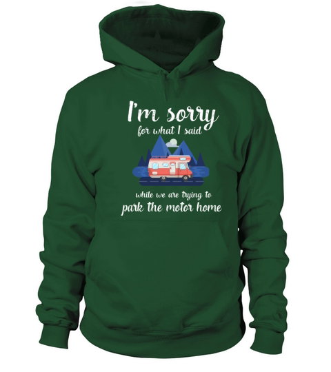 Funny Camping Camp Trailer park the Motorhome gift Men's Hoodie
