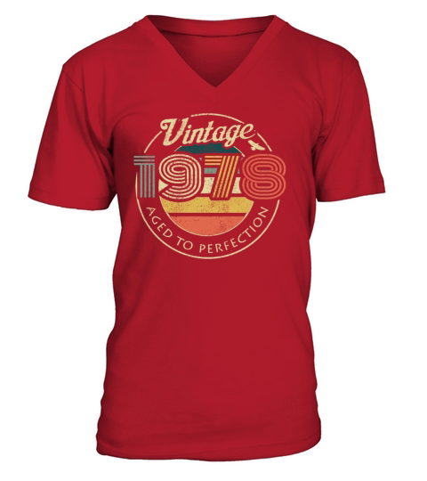 1978 Vintage born in Retro age Birthday gift idea Men's V-Neck T-shirt