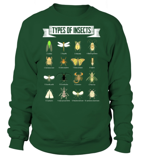 Kids Types Of Insects Bug Science funny saying Men's Sweatshirt