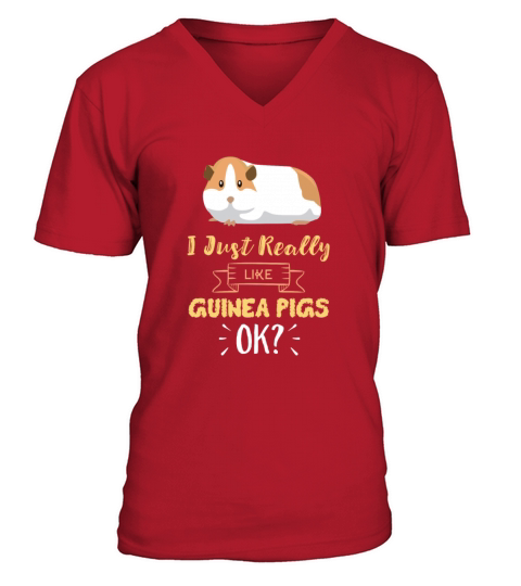 I Just Really Like Guinea Pigs OK Funny Guinea Pig Men's V-Neck T-shirt