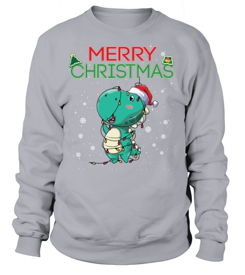 Funny Christmas Light Cute Dinosaur Santa Hat Women's Sweatshirt
