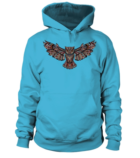 owl colorful present Women's Hoodie