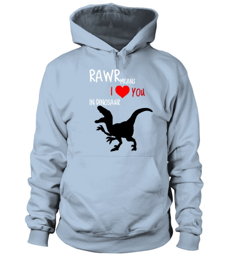 RAWR Means I Love You In Dinosaur Valentines Day Shirt Women's Hoodie