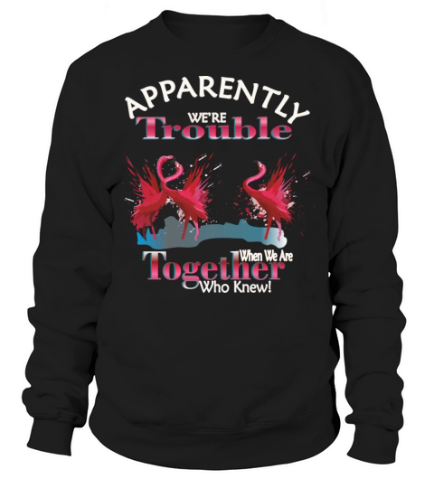 Flamingo Apparently Trouble When We Are Together Sweatshirt Unisex