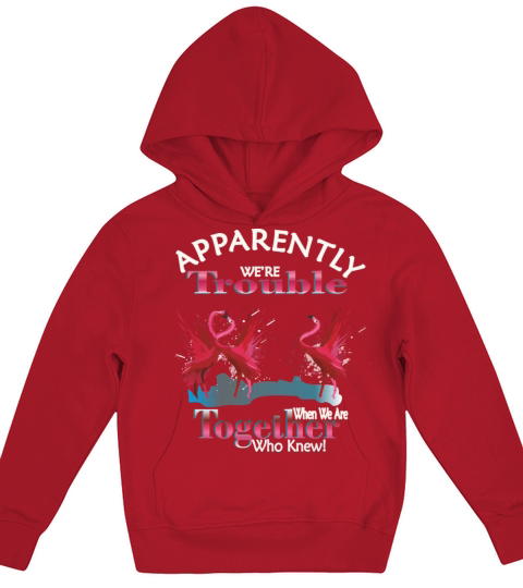 Flamingo Apparently Trouble When We Are Together Kids Hoodie