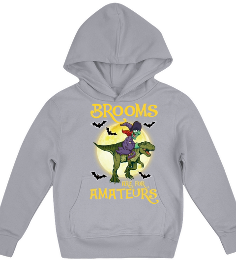 Witch Riding Dinosaur Brooms Are For Amateurs Kids Hoodie