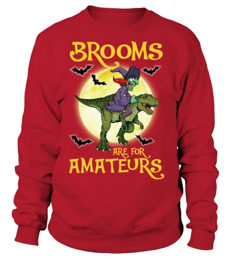 Witch Riding Dinosaur Brooms Are For Amateurs Women's Sweatshirt