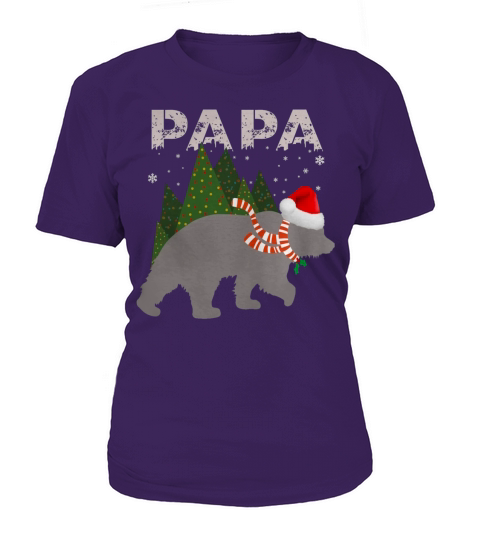 Papa Bear Christmas Pajamas Shirt Matching Santa Hat Lights T-Shirt Woman