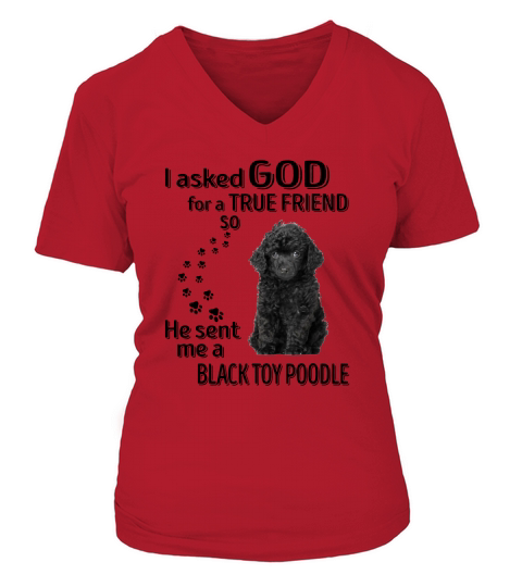 I Asked God Black Toy Poodle V-neck T-Shirt Woman