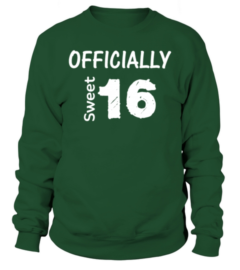 Sweet 16 Gift 16th Birthday Present 16 Year Old T Men's Sweatshirt