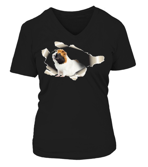 Guinea Pig Women's V-Neck T-shirt