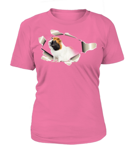 Guinea Pig Women's T-Shirt
