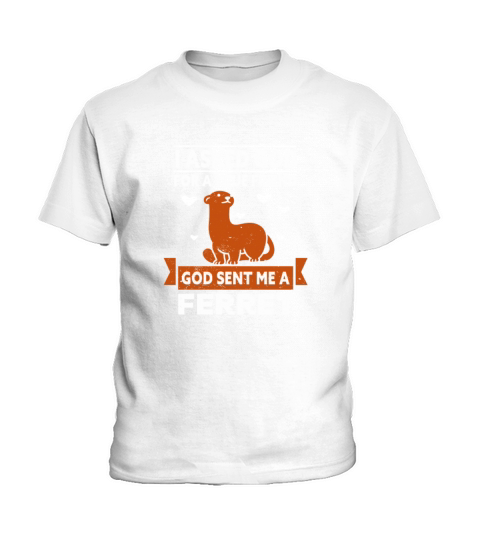 Ferret Gaming I asked God for A true Friend Kids T-Shirt