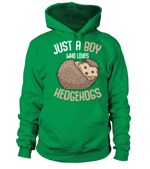 Hedgehog Boy Kids Pet Gift Women's Hoodie