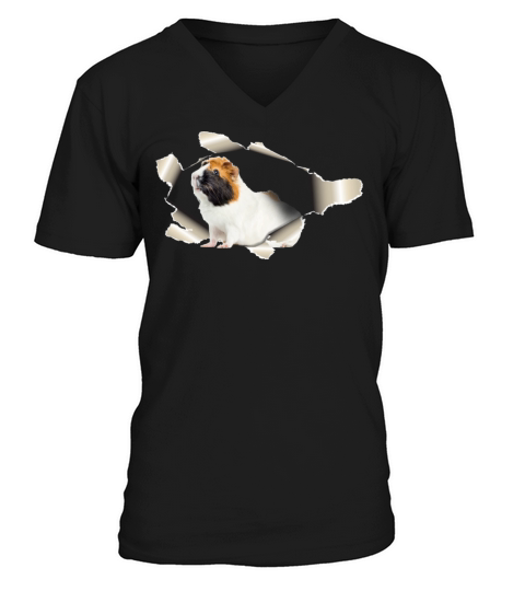 Guinea Pig Men's V-Neck T-shirt