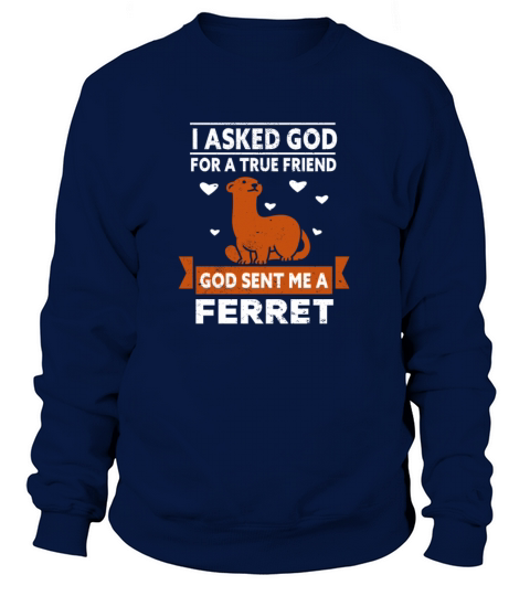 Ferret Gaming I asked God for A true Friend Women's Sweatshirt