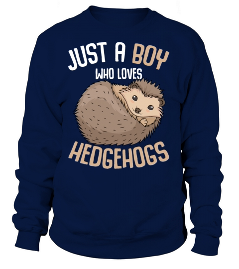 Hedgehog Boy Kids Pet Gift Women's Sweatshirt