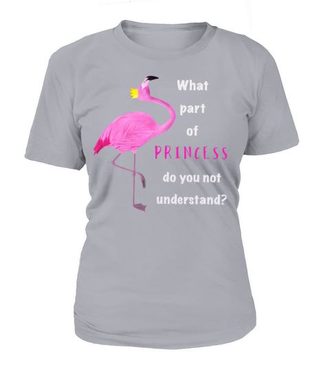 Flamingo Princess understand Women's T-Shirt