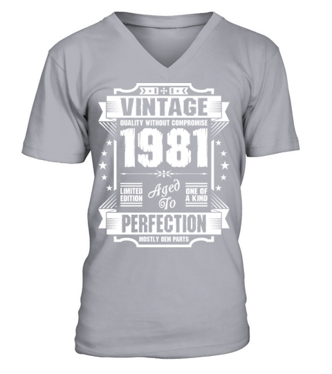 Vintage 1981 Perfection Men's V-Neck T-shirt