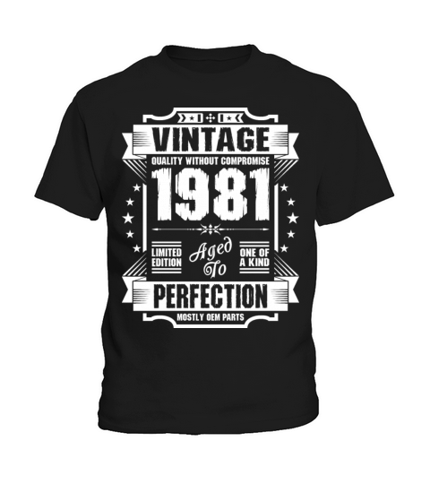 Vintage 1981 Perfection Kids T-Shirt