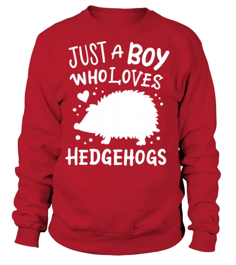 Hedgehogs Hedgehog Lover Women's Sweatshirt
