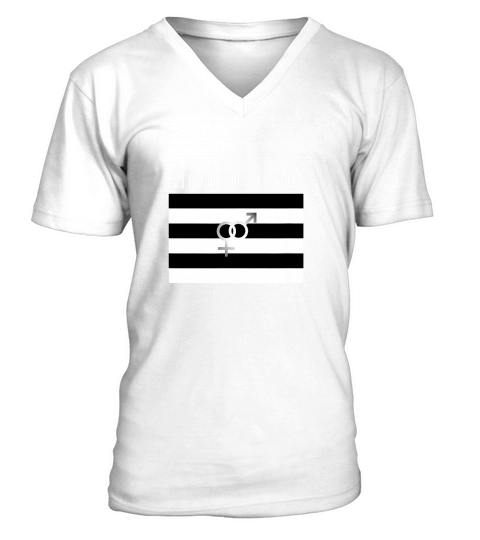 Straight Pride Flag For A Proud Heterosexual Person V-Neck T-shirt