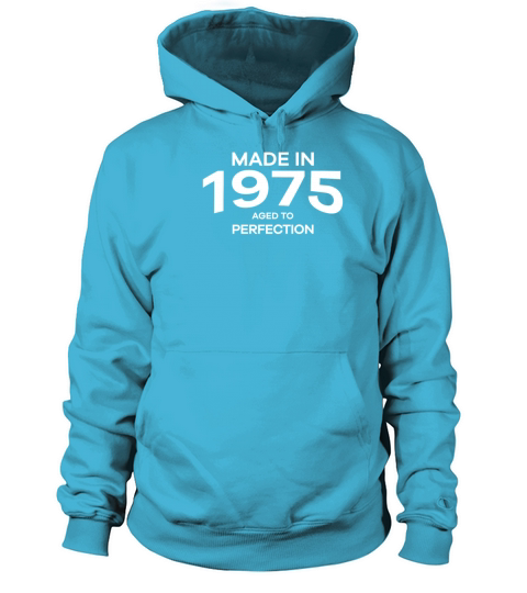 Made In 1975 Aged To Perfection Funny Birthday Men's Hoodie