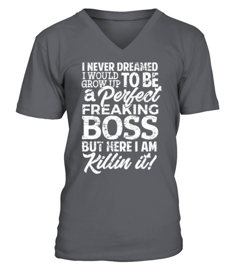 I Never Dreamed Perfect Boss Gift for Boss Shirt Men's V-Neck T-shirt
