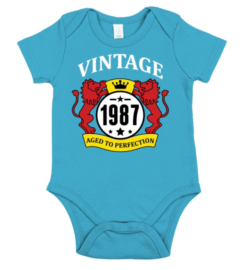 Vintage 1987 Aged to Perfection Short Sleeve Baby One-Piece