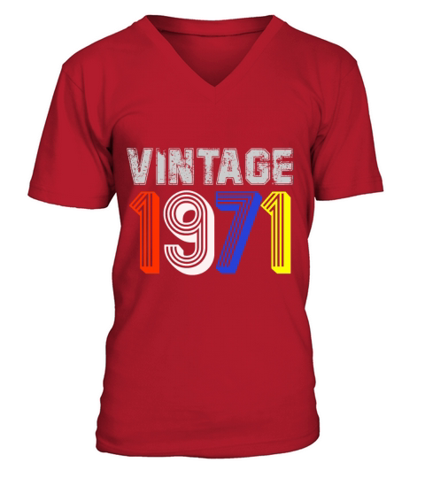 Vintage 1971 Birthday Gift Idea Men Women Men's V-Neck T-shirt