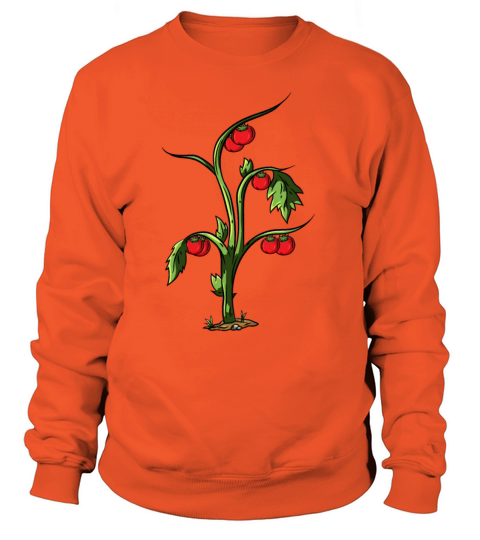 Tomato Women's Sweatshirt