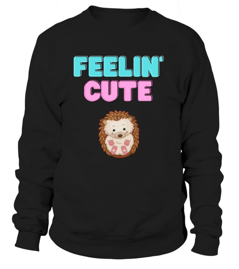 Hedgehog baby Women's Sweatshirt