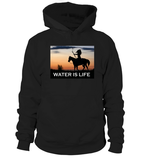 NATIVE AMERICAN WARRIOR SHIRT Water is Life Horse T-Shirt Hoodie Unisex