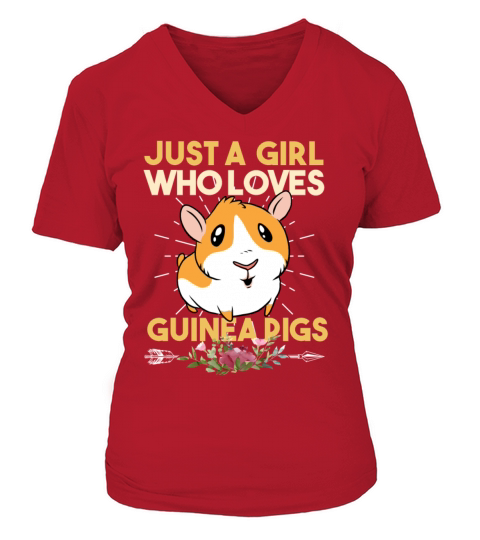 Just a girl who loves guinea pigs gifts Women's V-Neck T-shirt