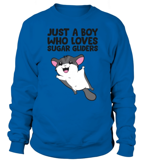 Just a Boy Who Loves Sugar Gliders Women's Sweatshirt