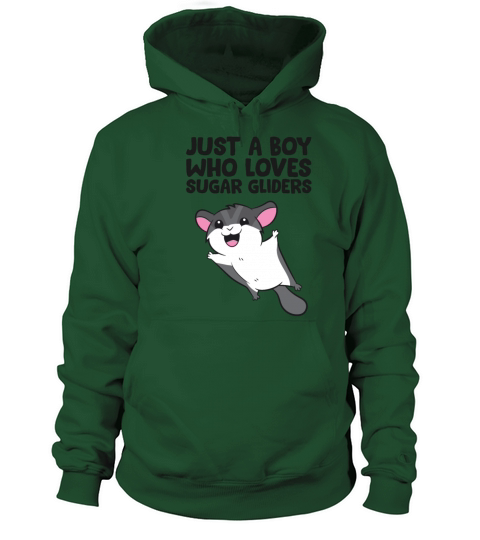 Just a Boy Who Loves Sugar Gliders Women's Hoodie