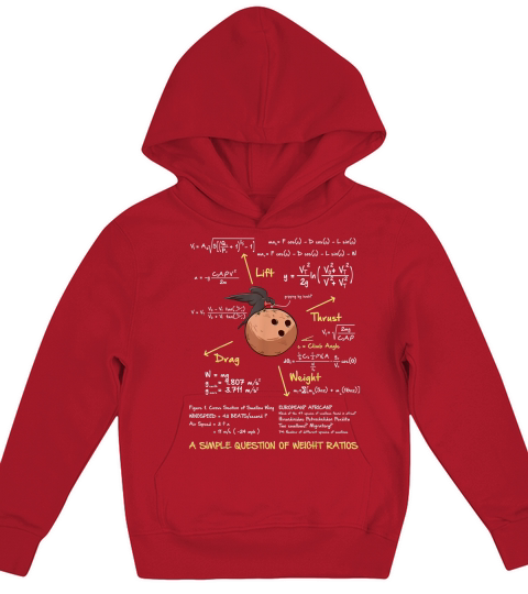 A Simple Question Of Weight Ratios Funny Math Kids Hoodie