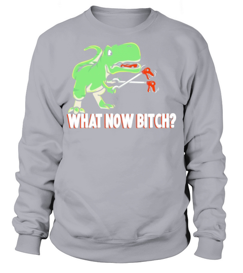 T Rex Dinosaur What Now Bitch Funny Tyrannosaurus Men's Sweatshirt
